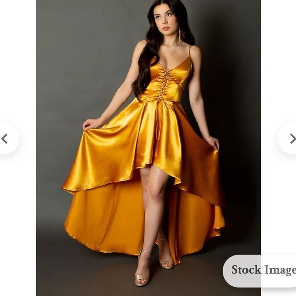 JOYFOLIE SHELLY DRESS IN MUSTARD NET XL - Picture 4 of 6